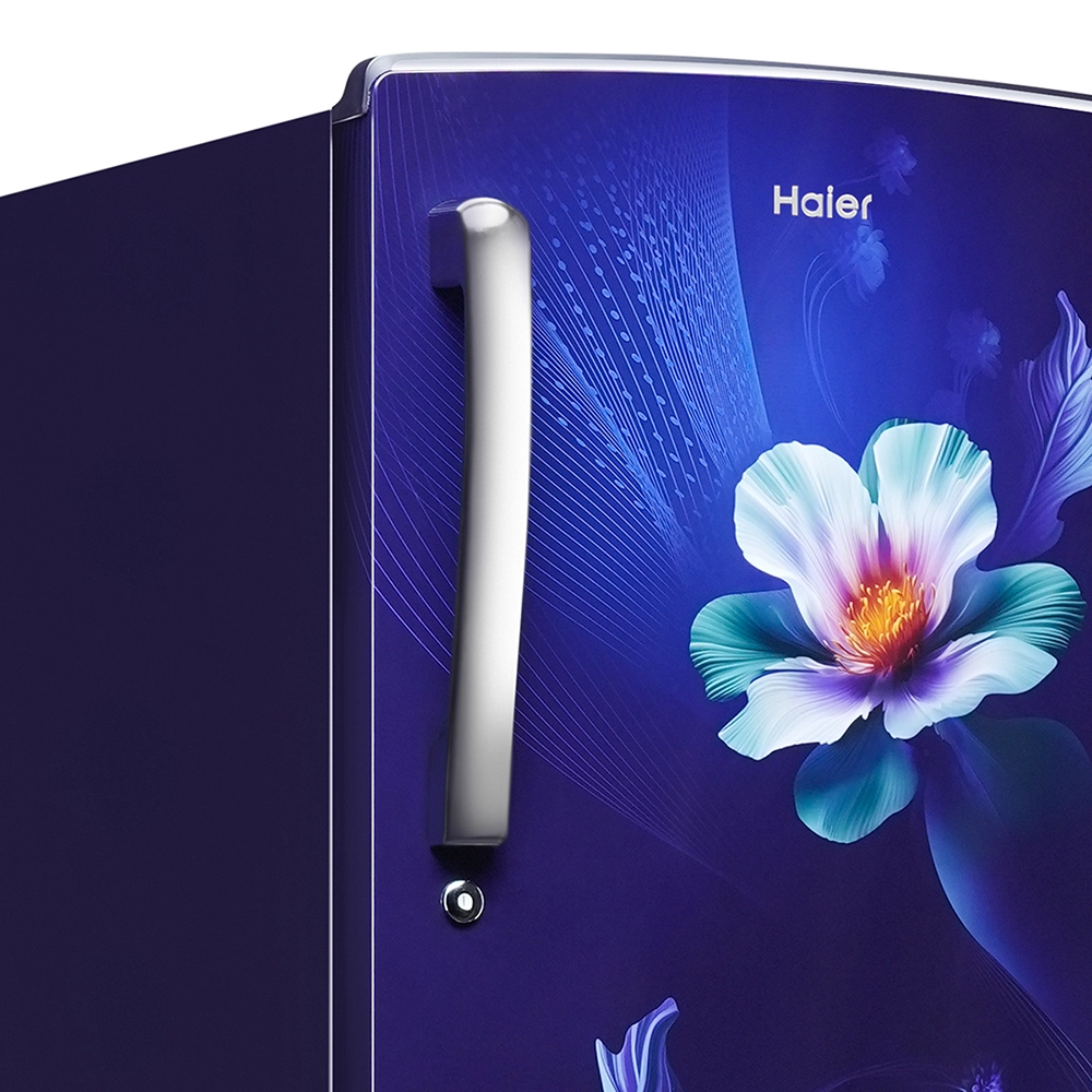 Haier 253 L  2 Star  Marine Karen  Single Door Refrigerator