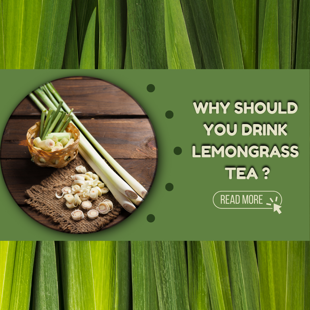 Why You Should Drink Lemongrass Tea ?