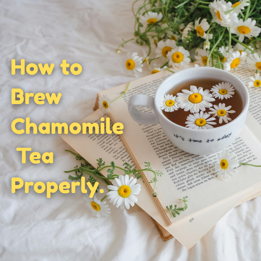 How to Brew Chamomile Tea Properly 