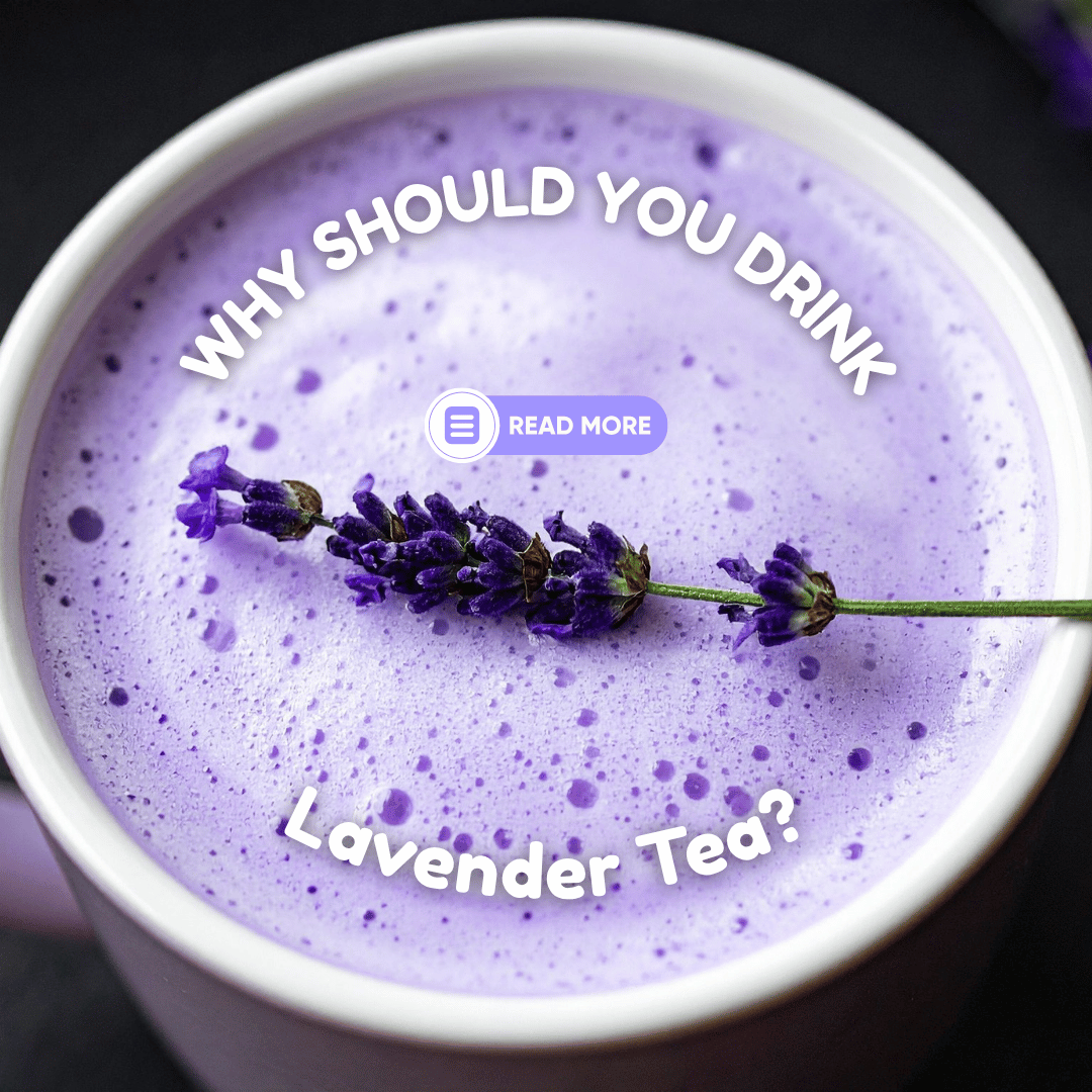 Why Should You Drink Lavender Tea?