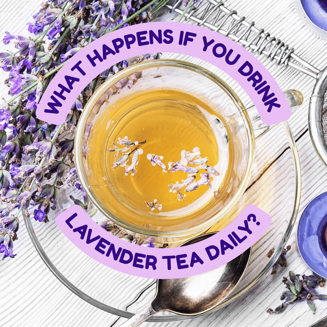 What Happens If You Drink Lavender Tea Daily?