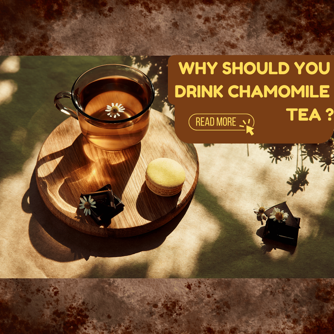 Why Should You Drink Chamomile Tea?