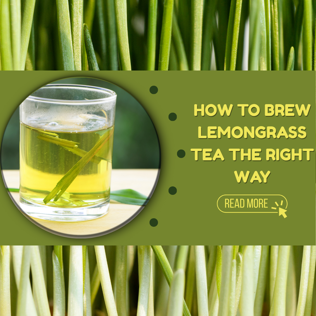 How to Brew Lemongrass Tea the Right Way.