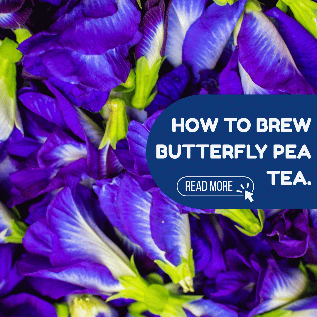 How to Brew Butterfly Pea Tea.