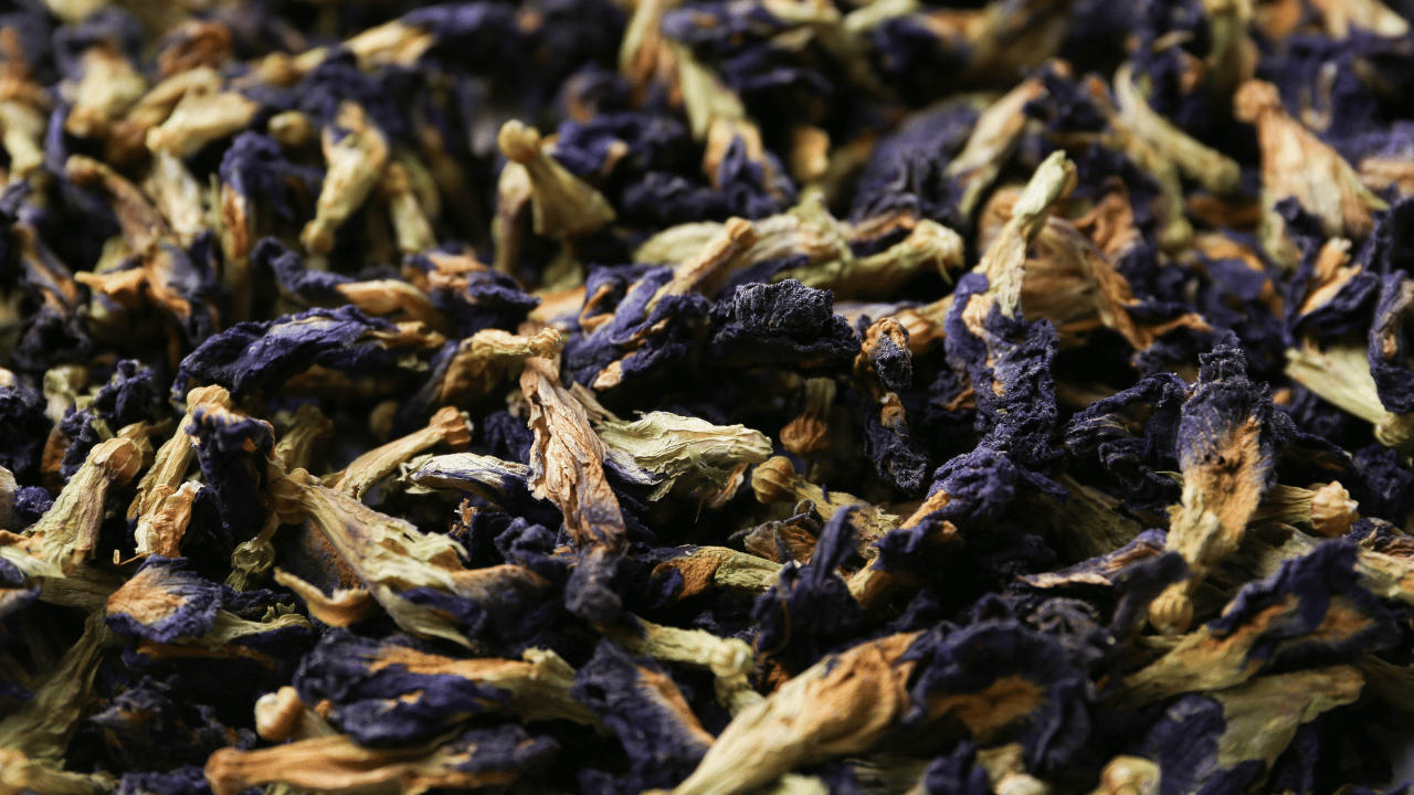 Butterfly Pea Tea Pudding Recipe.