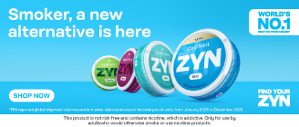 Zyn Nicotine Pouches 