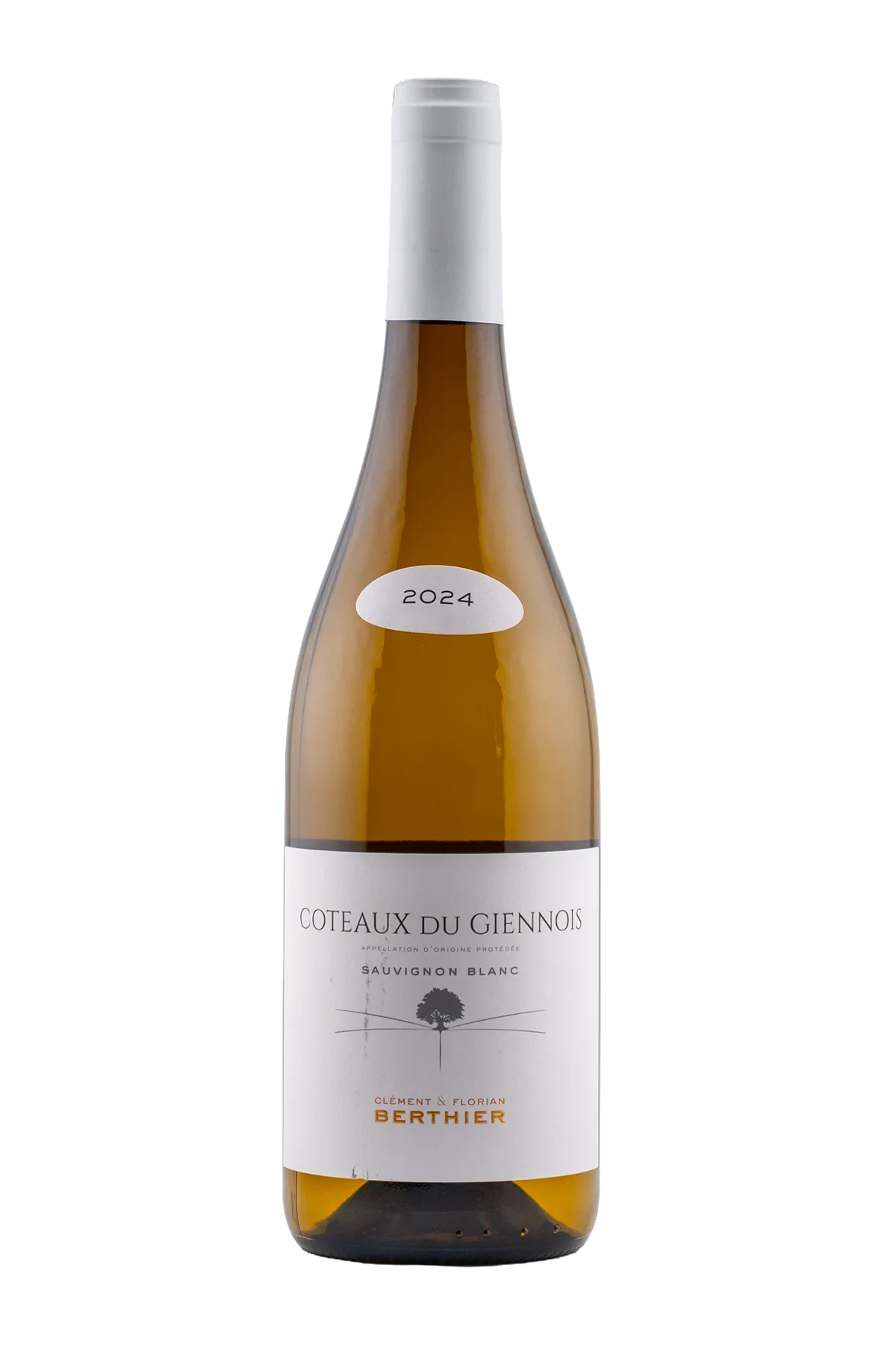 Clment & Florian Berthier Coteaux du Giennois Blanc 750 ml by coteaux du giennois - Compare prices in UAE