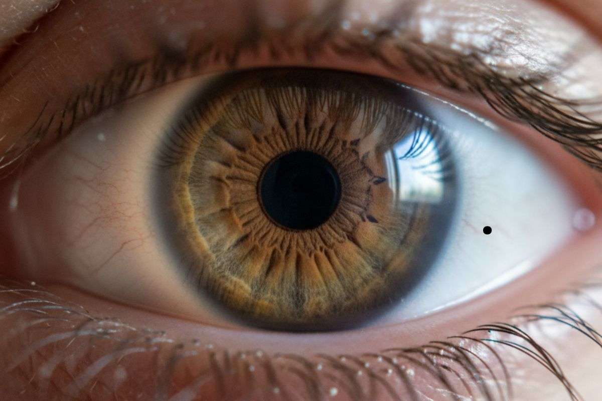 Personality Traits For Moles 