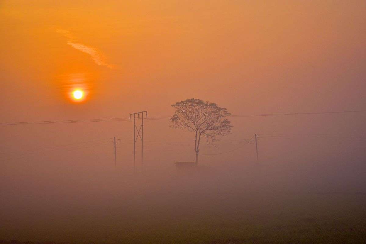Aaj Ka Mausam: कोहरे की चादर में लिपटे रहेंगे ये राज्य, सर्द हवा से बढ़ेगी सिरहन, मौसम फिर लेगा करवट