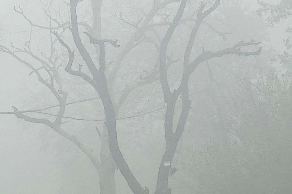 झारखंड के 8 जिलों में घने कोहरे का येलो अलर्ट, जानें अगले 4 दिन तक कैसा रहेगा मौसम
