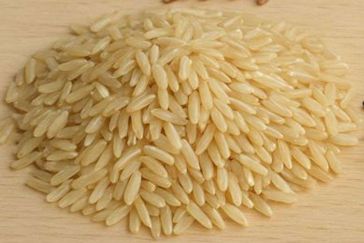 वजन कम करना है और चावल भी नहीं छोड़ना चाहते? ये वाला खा लें मोम की तरह पिघल जाएगी चर्बी