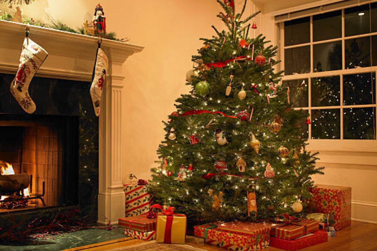 Christmas Home Decor Ideas: सेलिब्रेशन का मजा दोगुना करना है तो क्रिसमस पर घर को ऐसे करें डेकोरेट 1 Christmas Tree