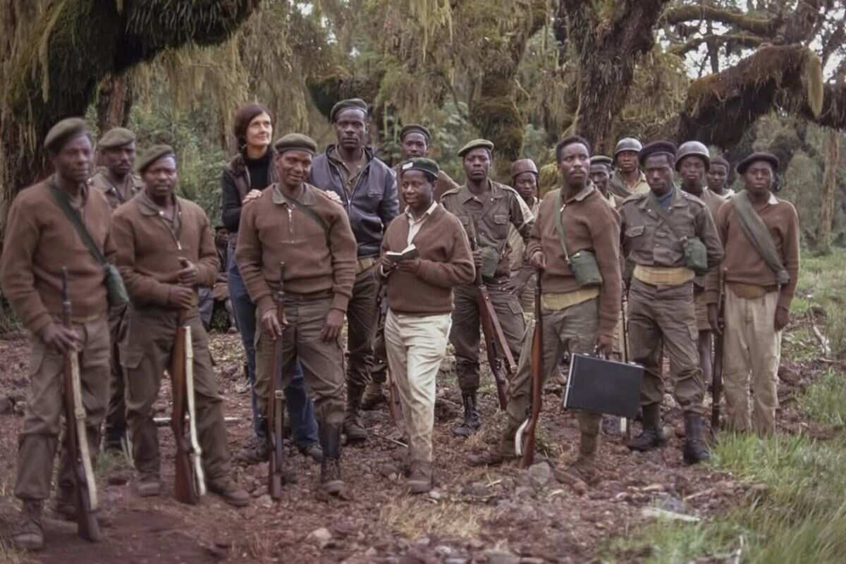 Dian Fossey In Rwanda Forest