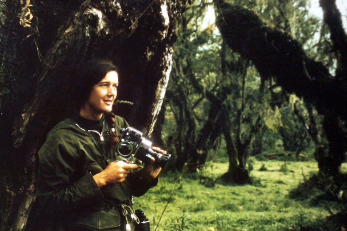 Dian Fossey In Rwanda 
