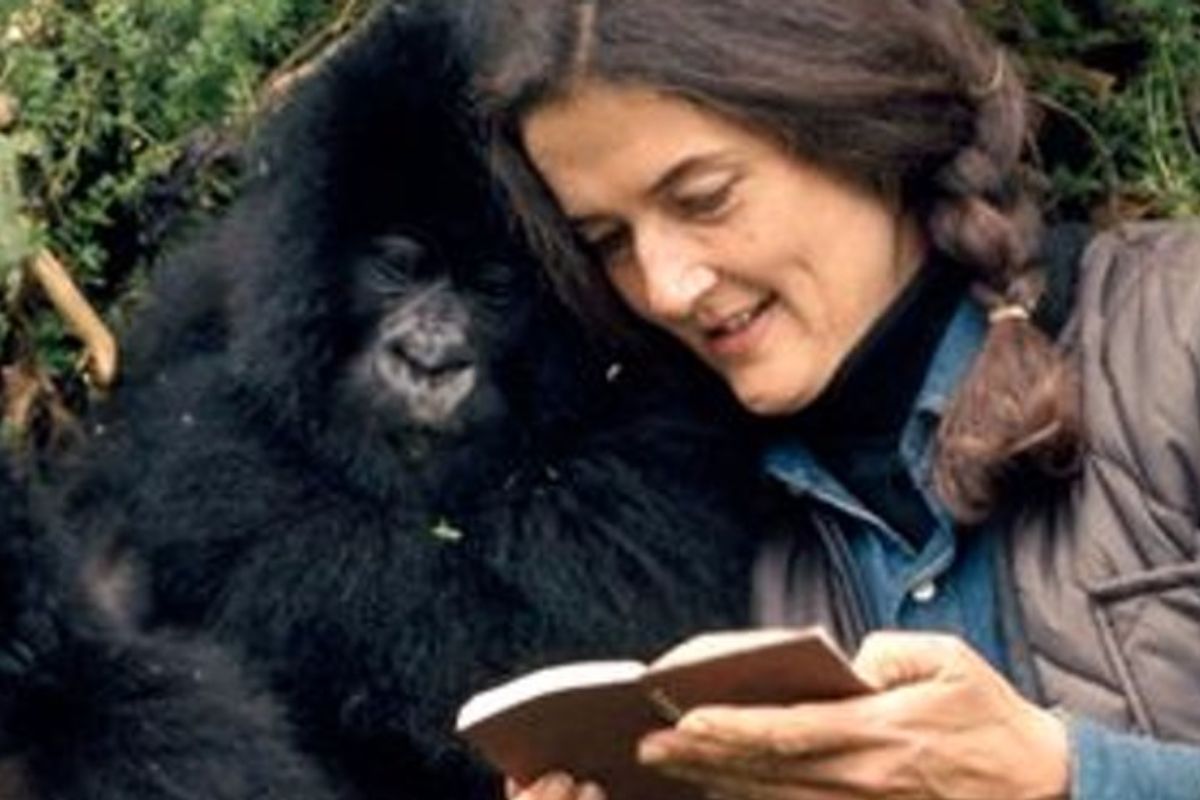 Diana Fossey