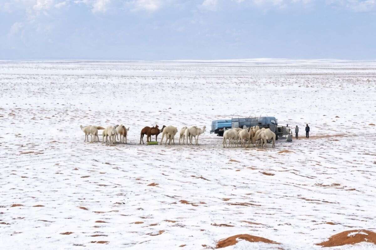 Heavy Snowfall In Saudi Arabia