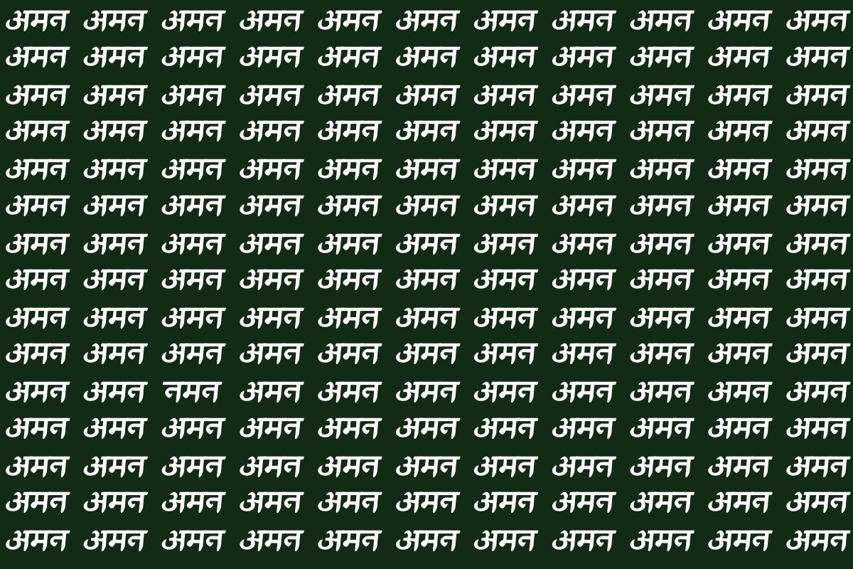 इस ऑप्टिकल इल्यूजन फोटो में नमन ढूंढिए