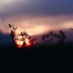 Winter Solstice 2025