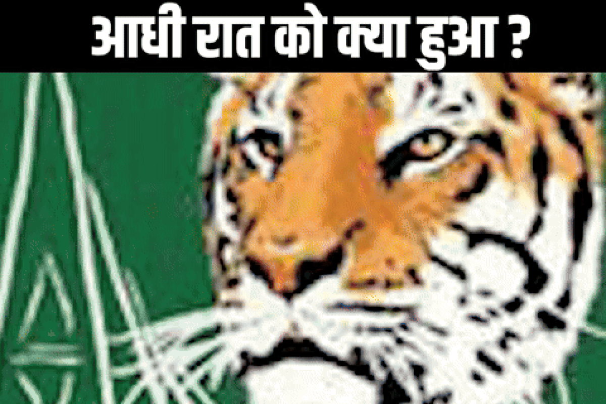 खिलाड़ियों की हड़ताल के बाद झुका BCB, क्या माफी मांगने के बाद थम गया बांग्लादेश क्रिकेट का भूचाल?