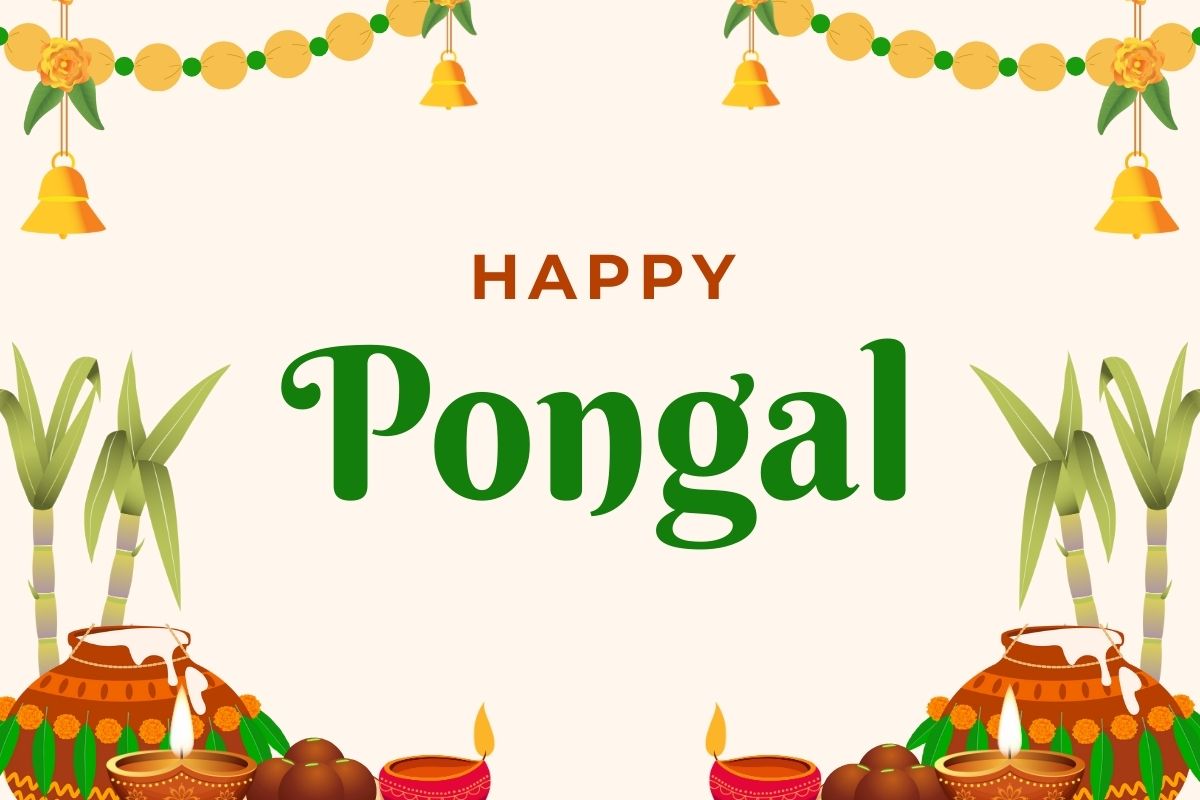 हैप्पी पोंगल