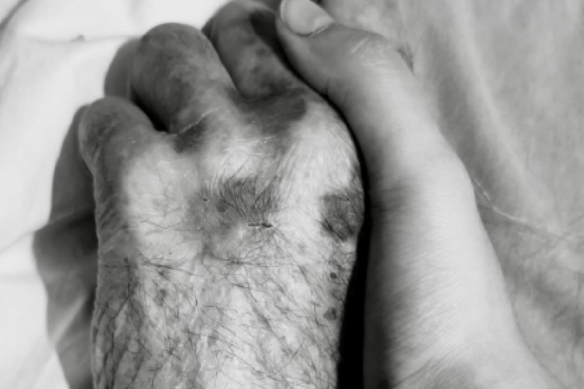 ‘सैयारा’ एक्ट्रेस अनीत पड्डा पर टूटा दुखों का पहाड़, दादा के निधन पर इमोशनल पोस्ट