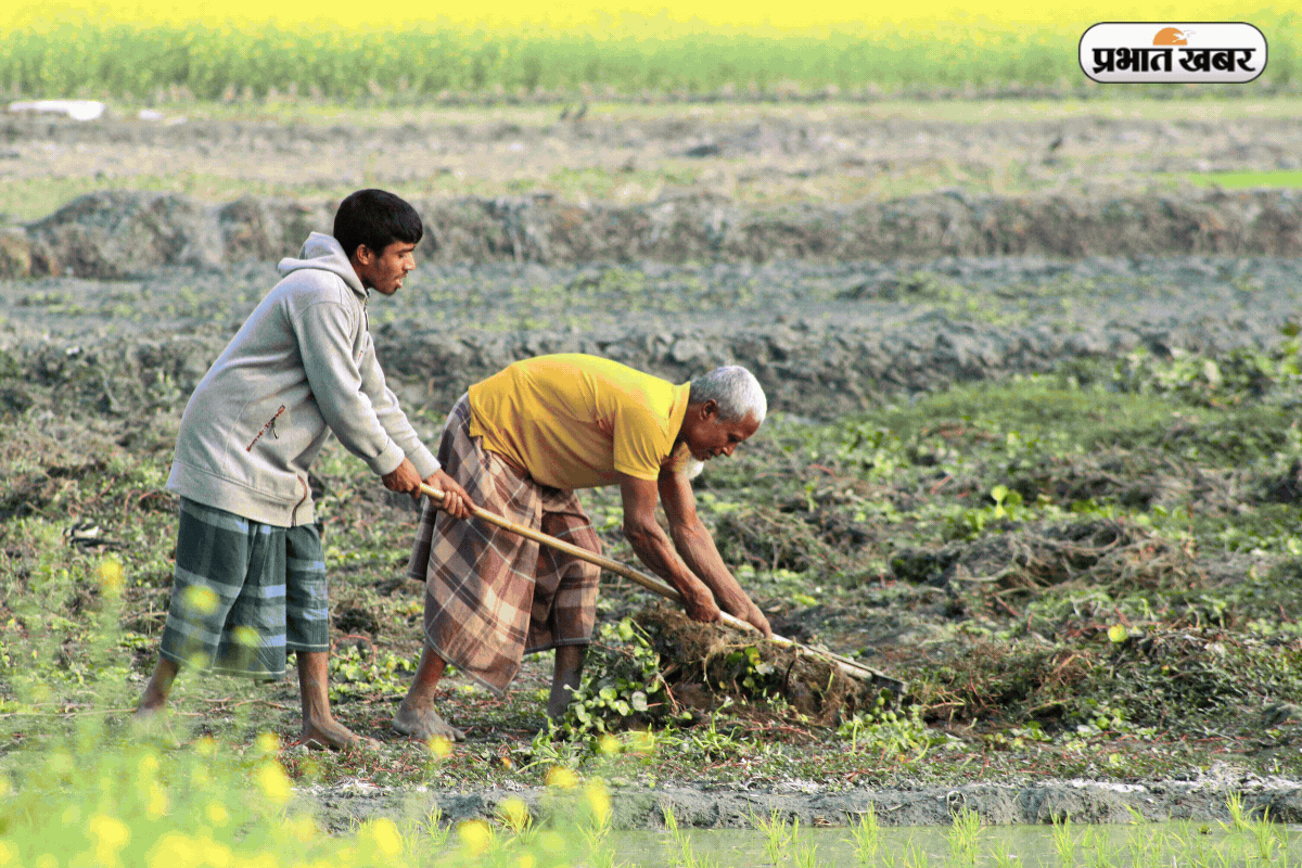 KCC का लोन नहीं भरा तो क्या बिक जाएगी जमीन ? जानें पूरा सच