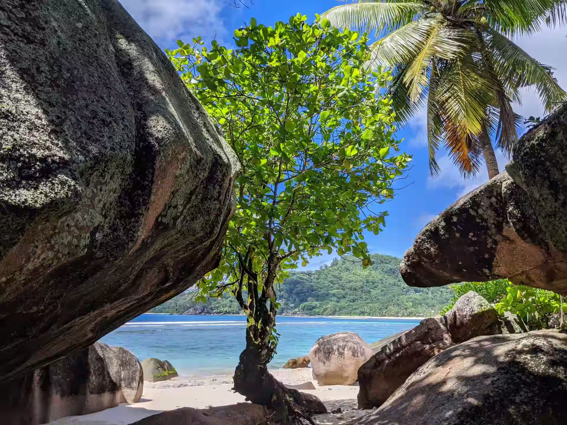 Nature and ocean beauty of Seychelles Tropical nature and clear ocean in Seychelles