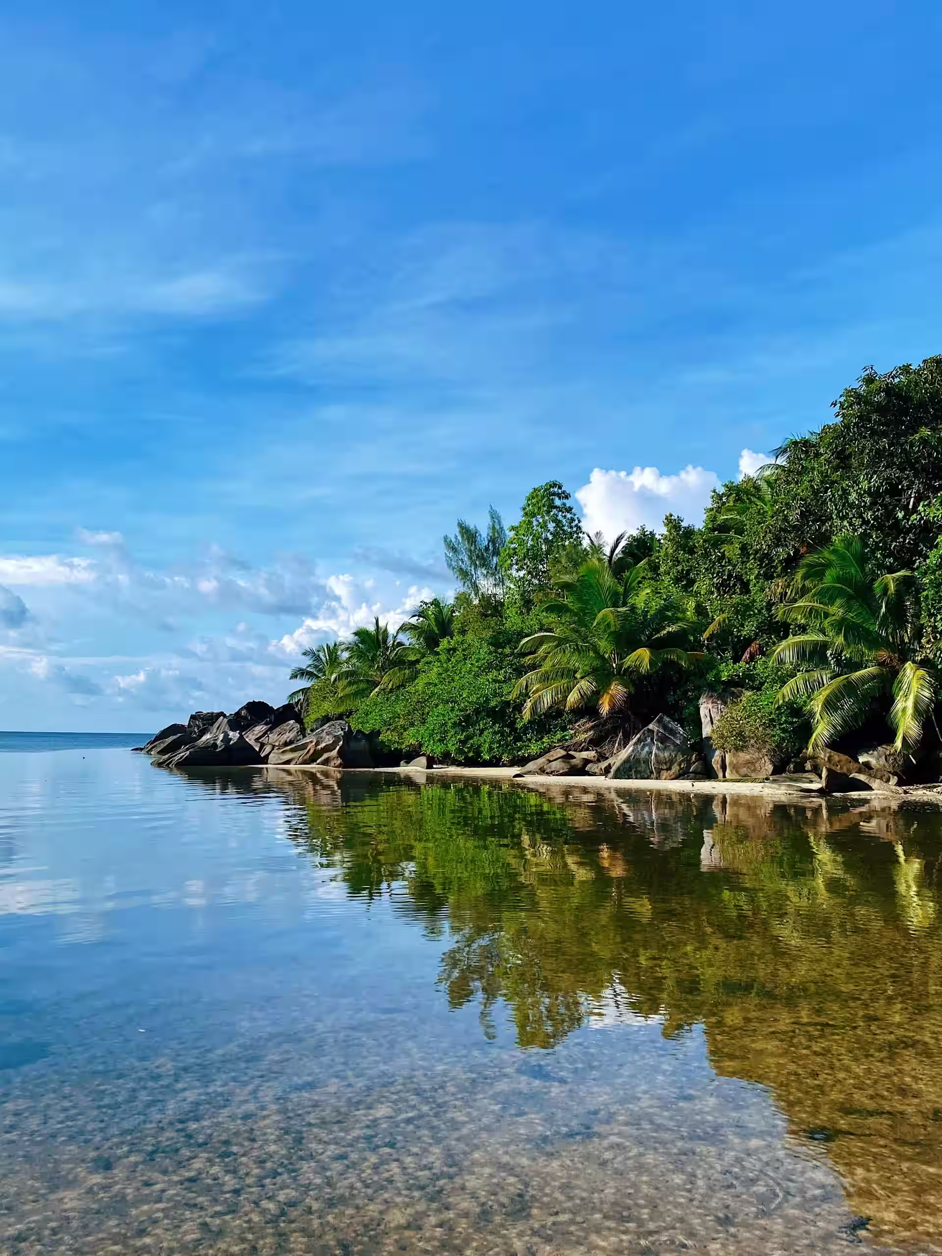Aerial view of Mahé Island mountains and coastline
