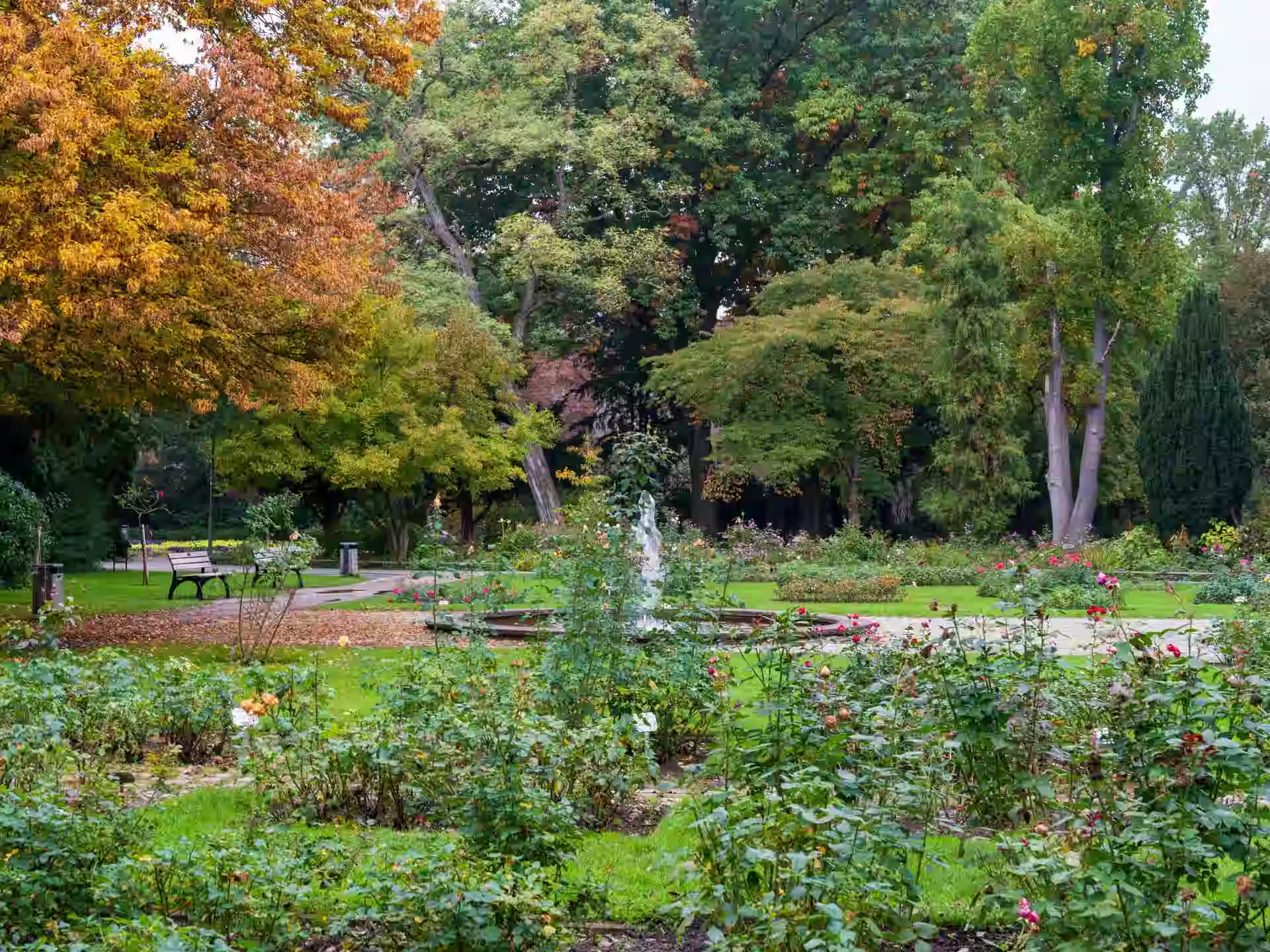 Tropical spice garden at Jardin du Roi