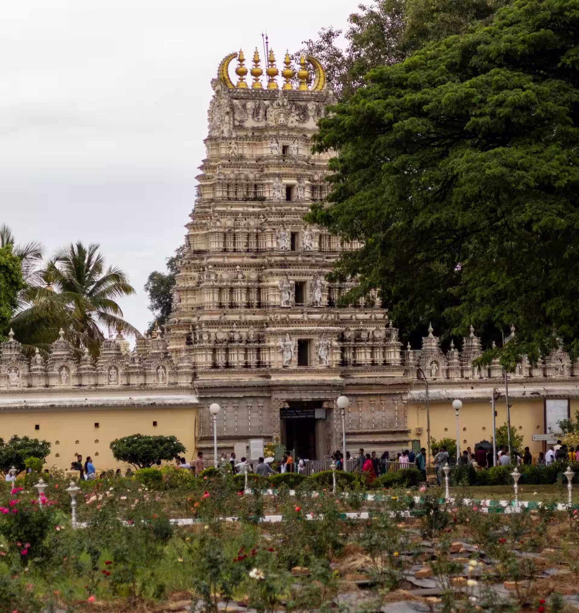 Karnataka highlights showing culture nature wildlife and heritage