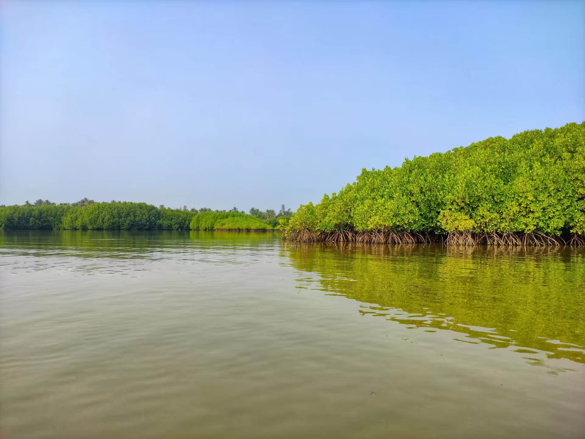 Coastal waters and mangroves of Gulf of Mannar Marine Biosphere Reserve