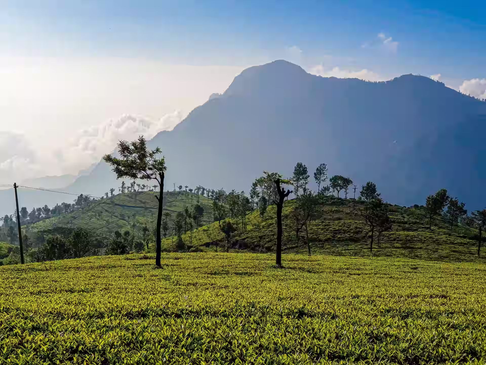 Green hills and cloudy skies in Ooty