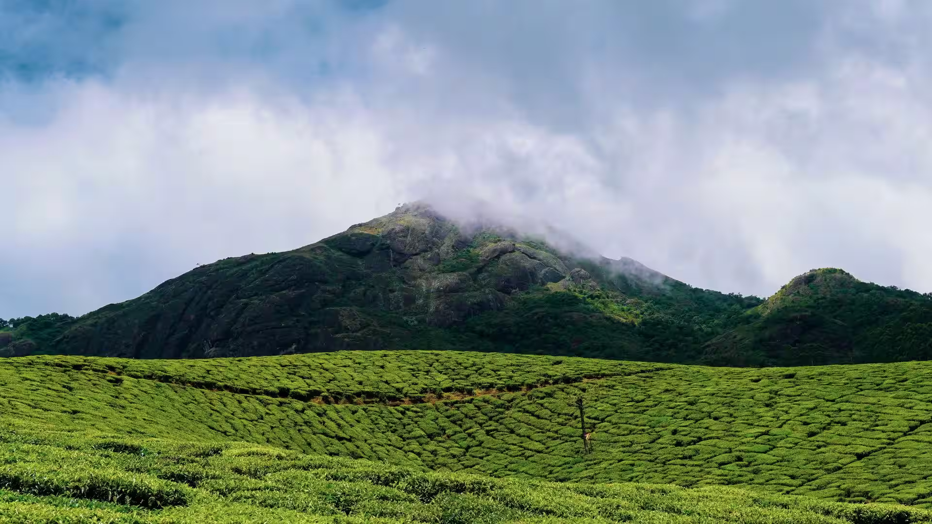 Munnar hill station in Kerala with tea plantations and rolling hills