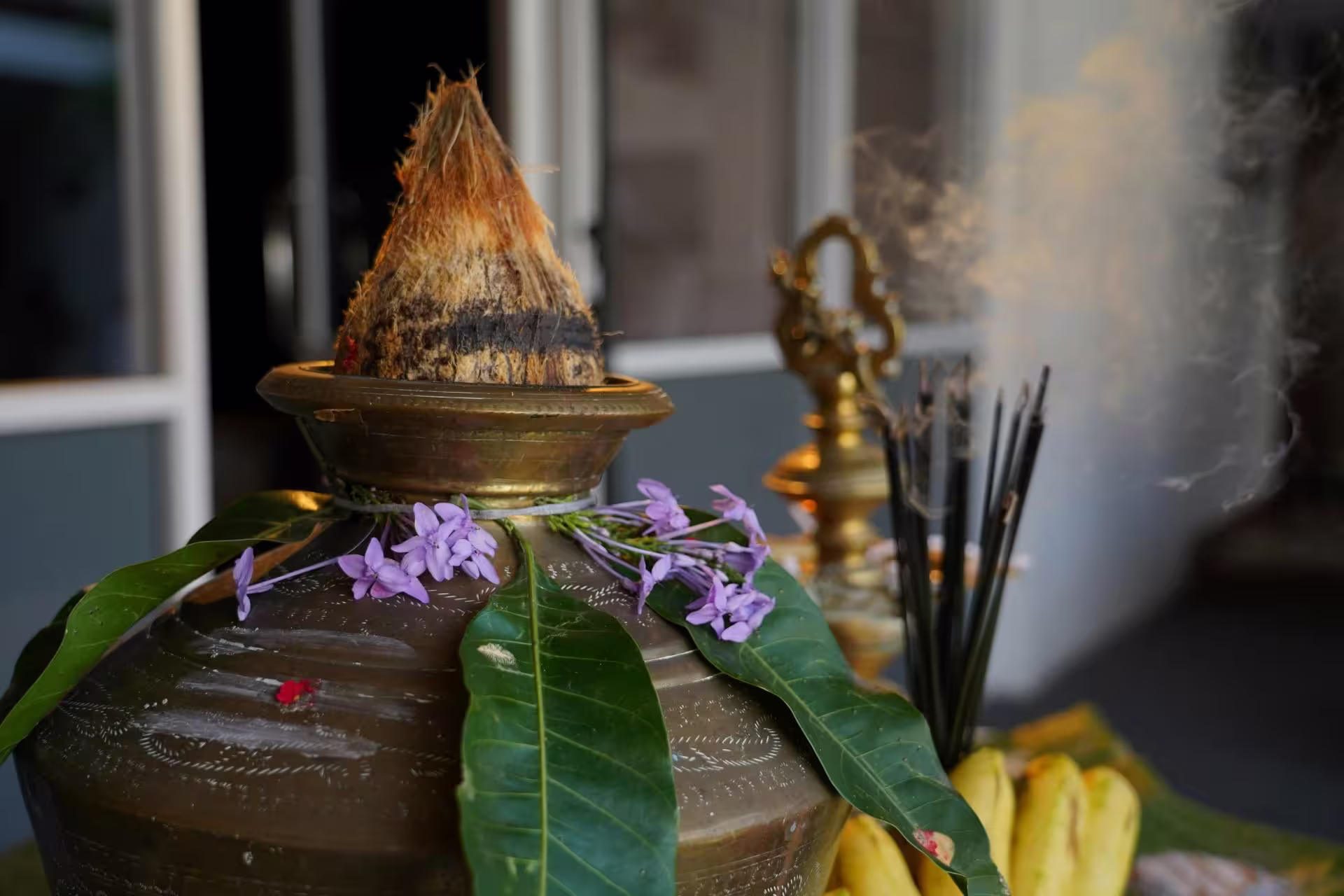 Pongal Festival Tamil Nadu Traditional Pongal celebration in Tamil Nadu