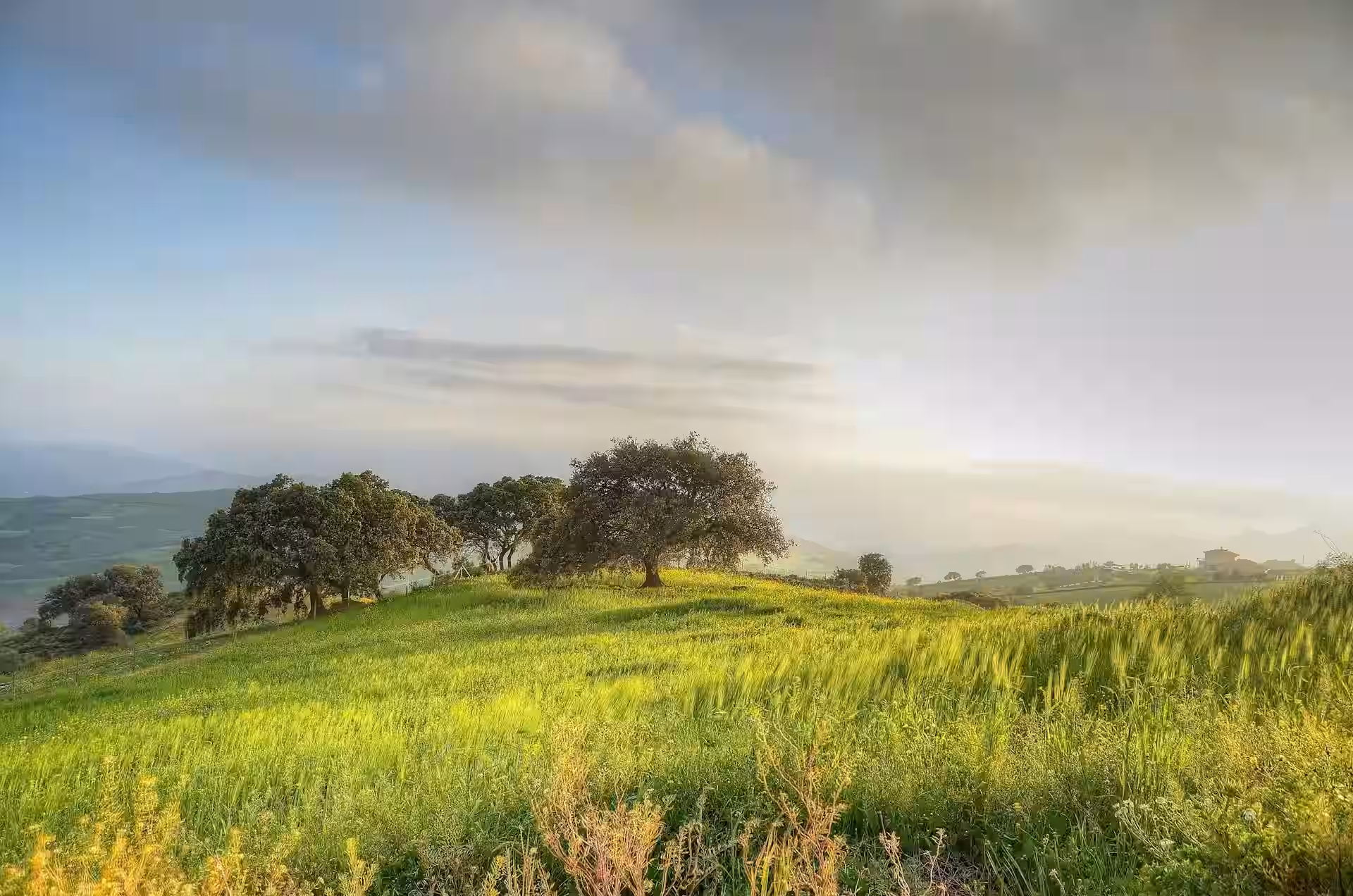 Sukreswar Hill, Guwahati