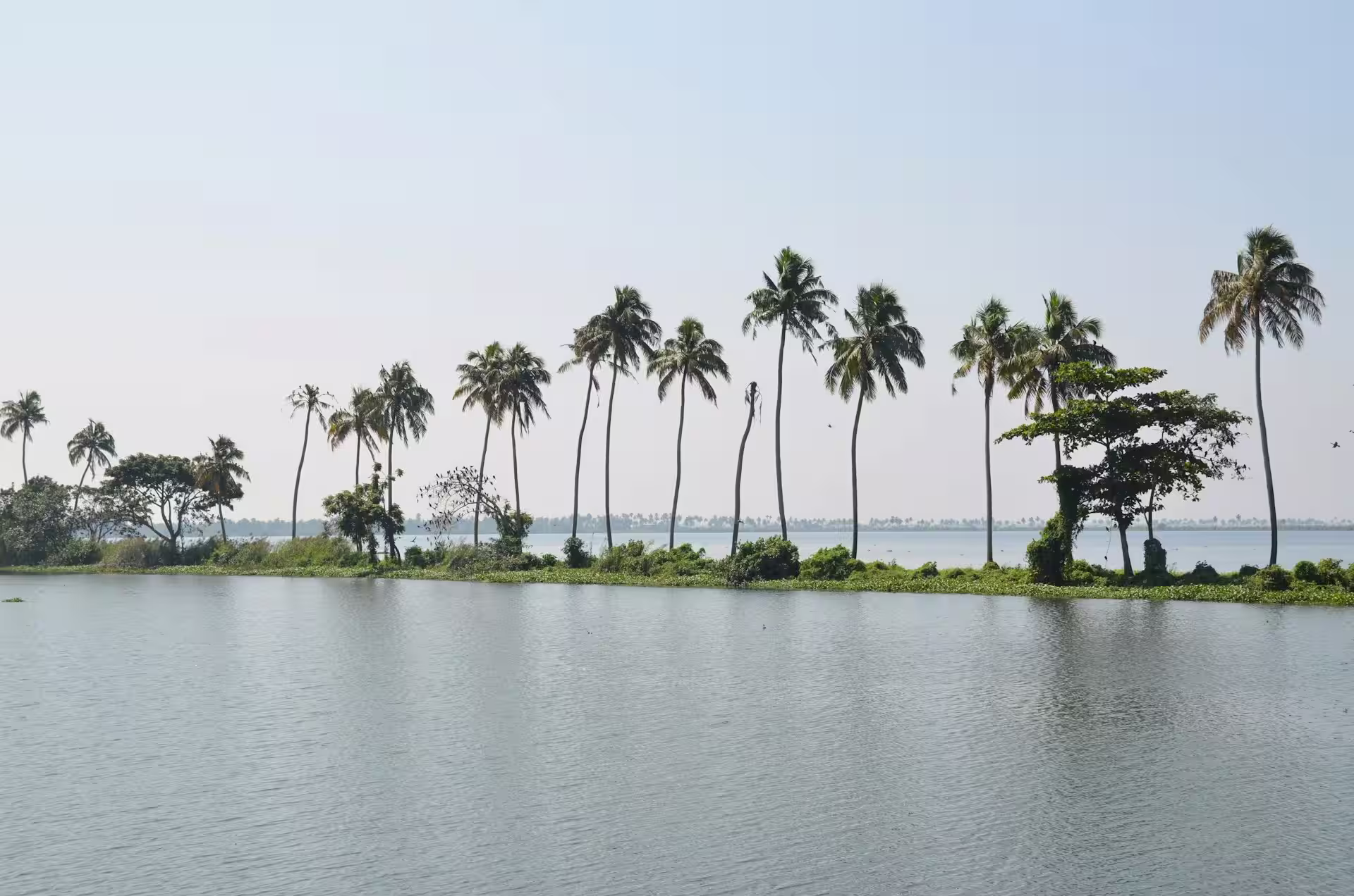Kuttanad Kuttanad