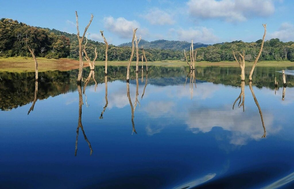 Periyar National Park Periyar National Park