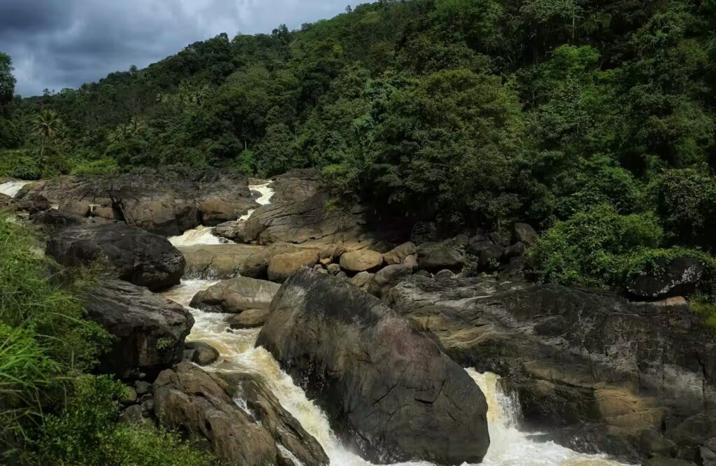 Pandikuzhi Pandikuzhi