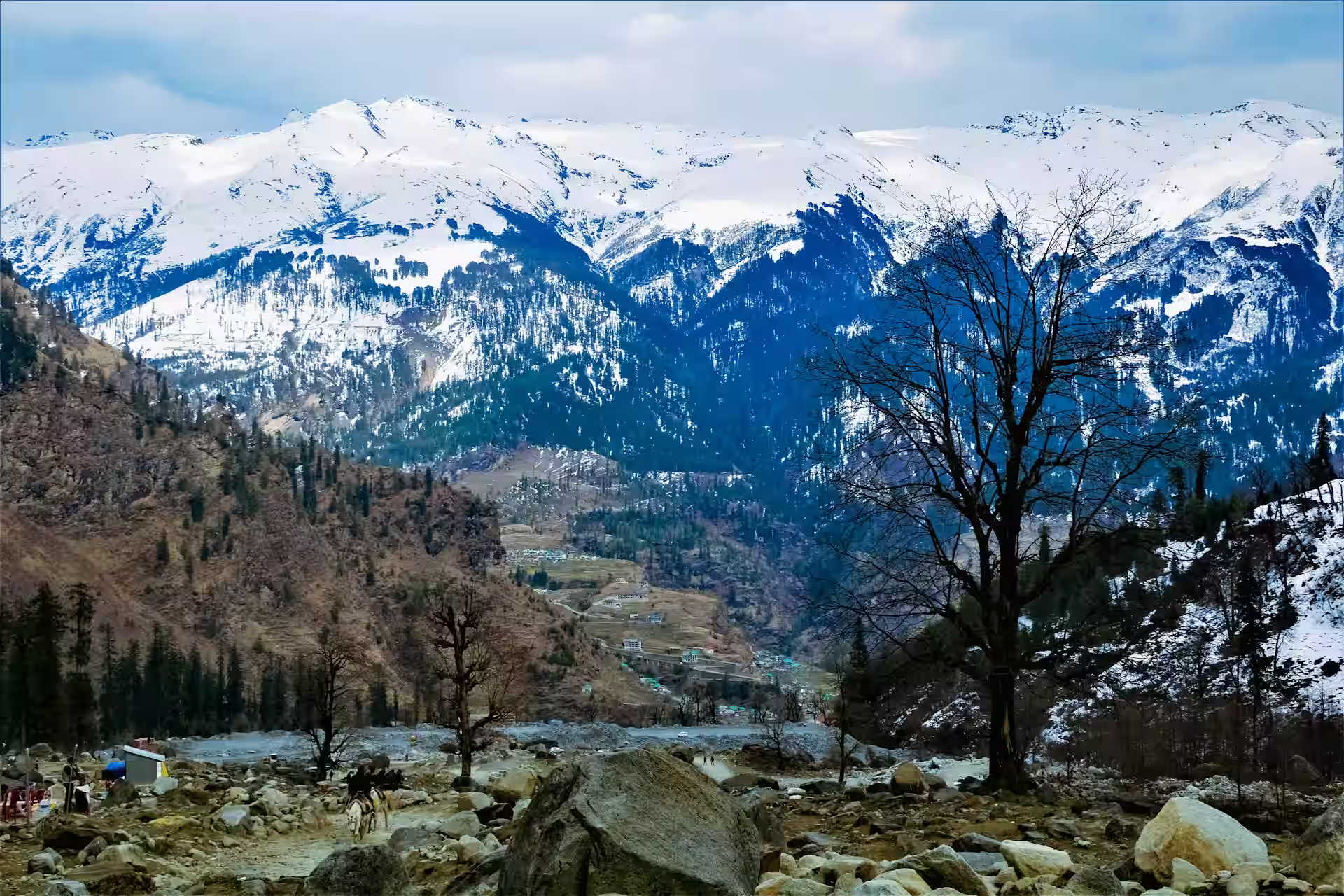Solang Valley in Manali Solang Valley in Manali
