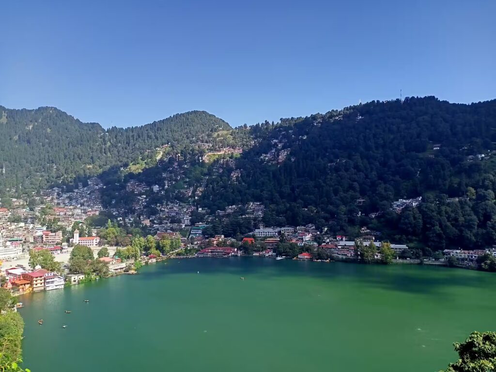 Tiffin Top Tiffin Top