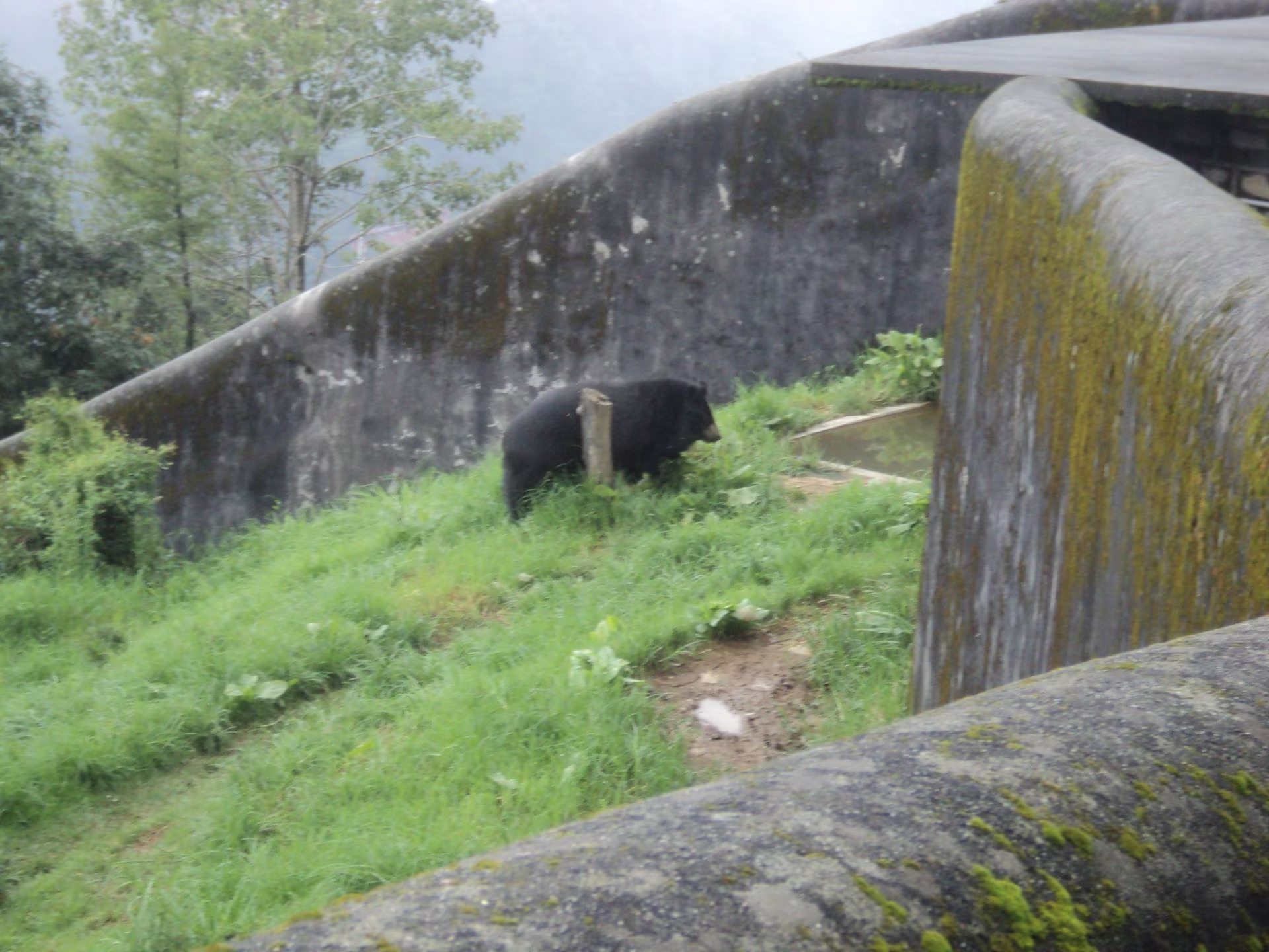 G B Pant High Altitude Zoo