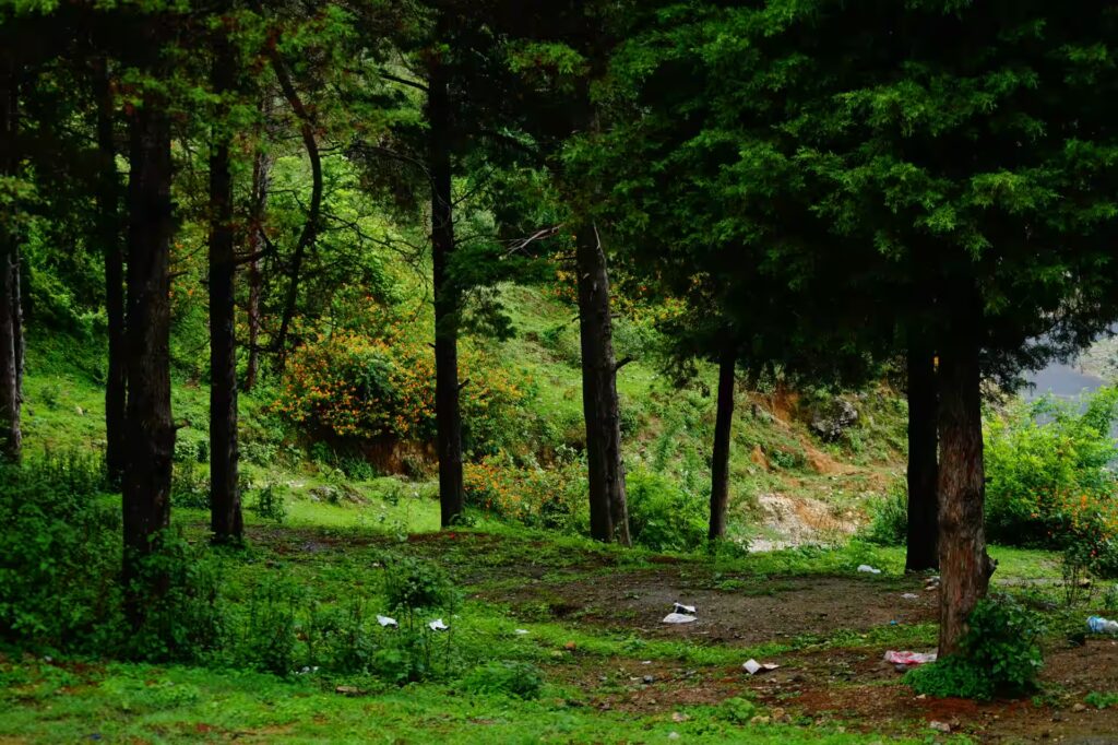 Company Garden Company Garden