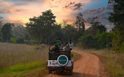 A Family-Friendly Safari: Exploring Bandhavgarh with Kids