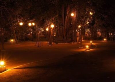 Bandhav Vilas Night View