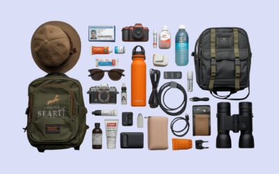 Packing List for Bandhavgarh Tiger Safari