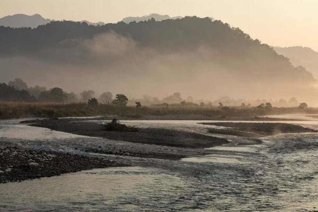 Mist Over The Forest River