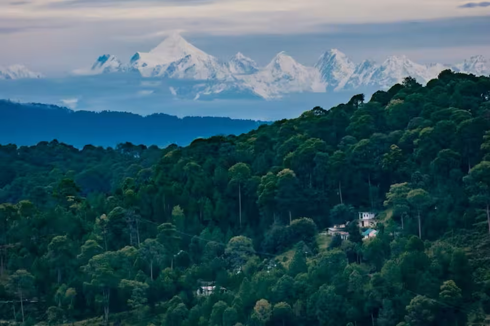 Ranikhet Mountain