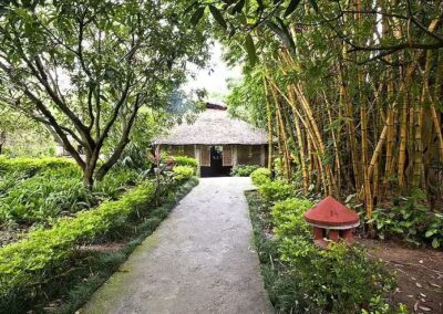Tiger Camp Resort Cottage Pathway