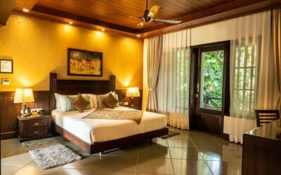 Luxury vs Budget Safari Experience in Jim Corbett National Park: What Should You Choose?