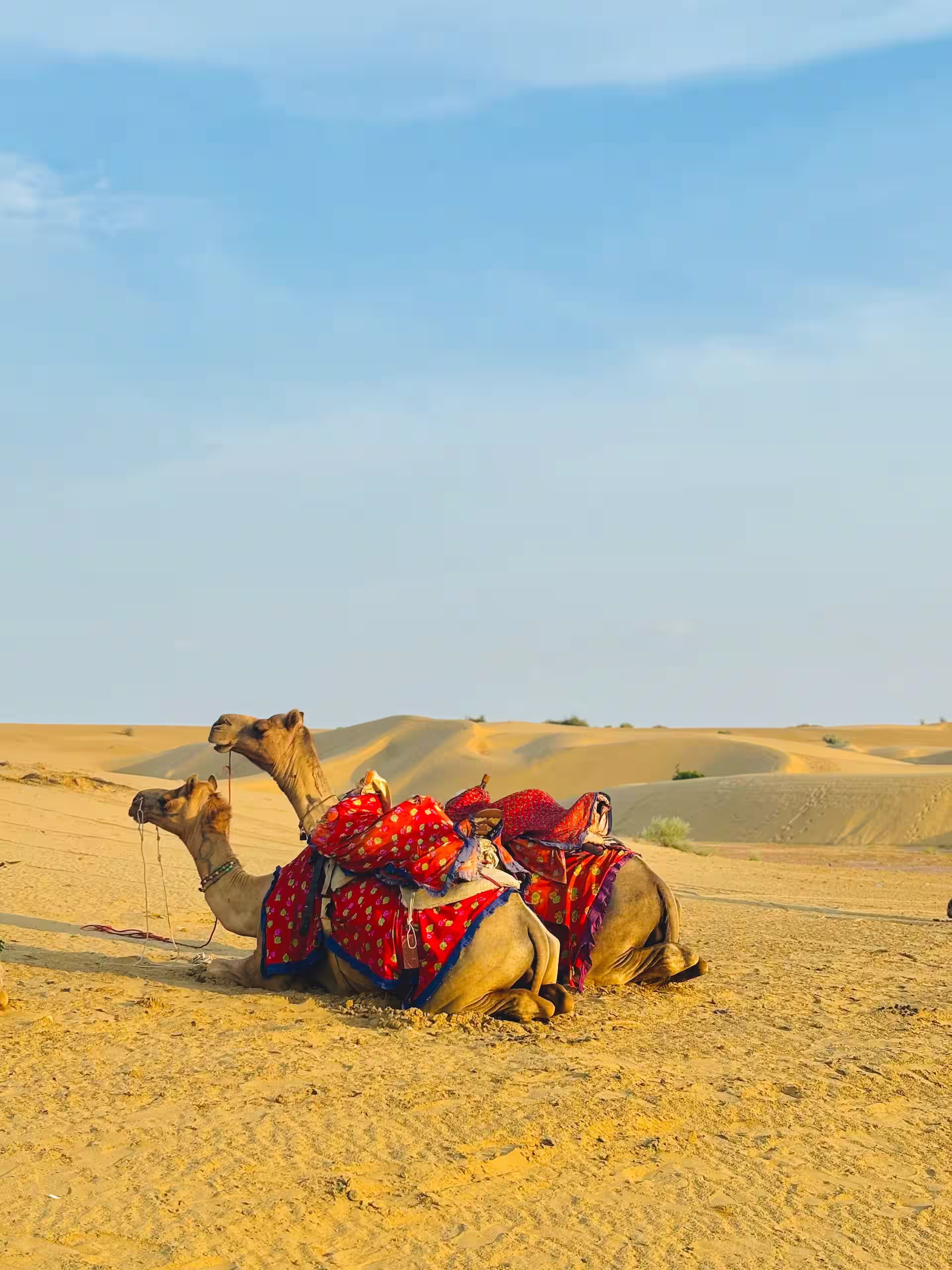 thar-dessert-rajasthan